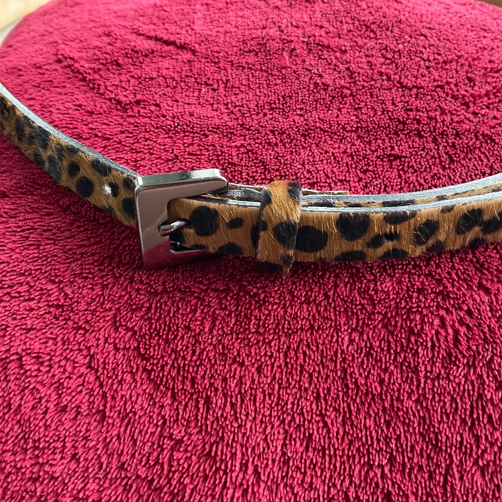 Talbots leather belt,large